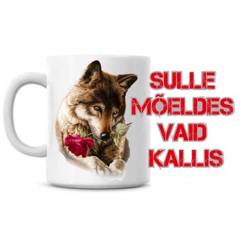 Sulle mõeldes vaid kallis TASS Sulle mõeldes vaid kallis TASS